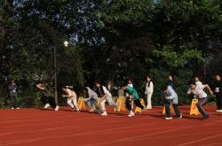 开云体育app-运动场上一幕幕激烈角逐，吸引广大观众目光