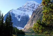 开云体育官网-沙尔克主场告捷，信心大增风生水起的简单介绍